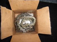 Caterpillar 10 Foot Bl446 Chain photo