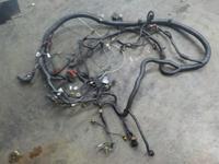 Doosan Used Wire Harness photo