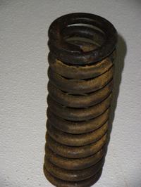 Caterpillar Caster Spring photo